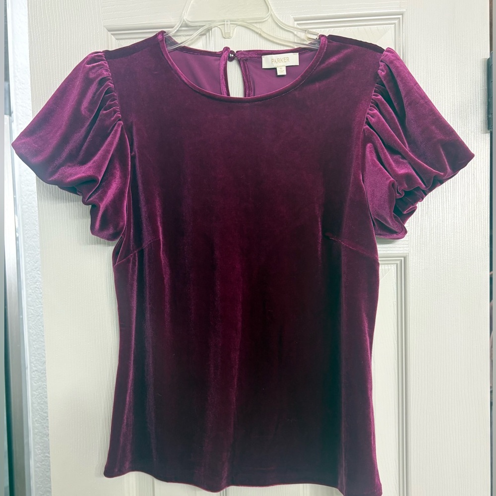 Velvet Flutter Sleeve Blouse